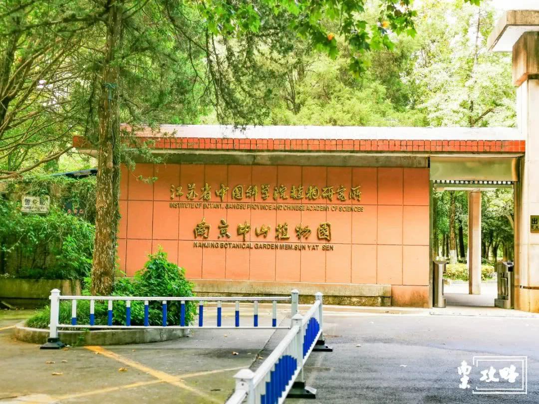 南京中山植物院智慧景区项目 南京中山植物院智慧景区项目